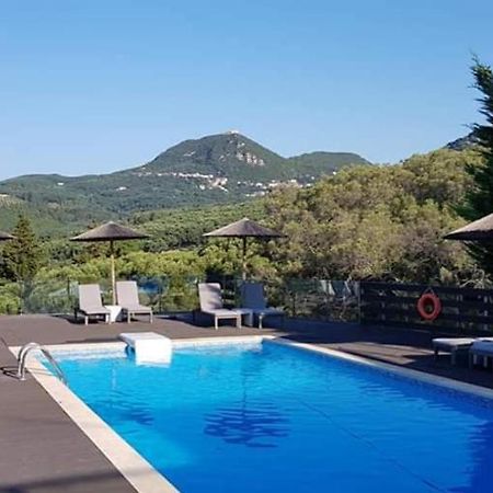 Diogenis Parga Studios Екстериор снимка
