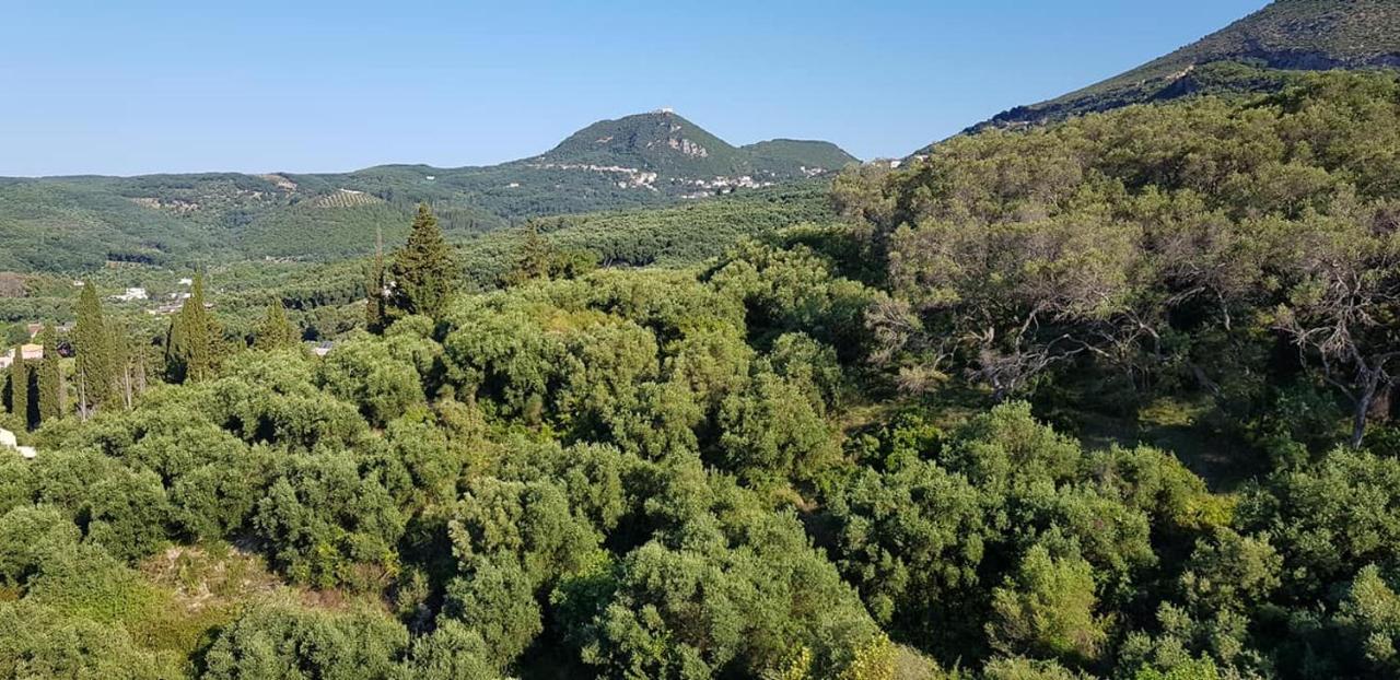 Diogenis Parga Studios Екстериор снимка