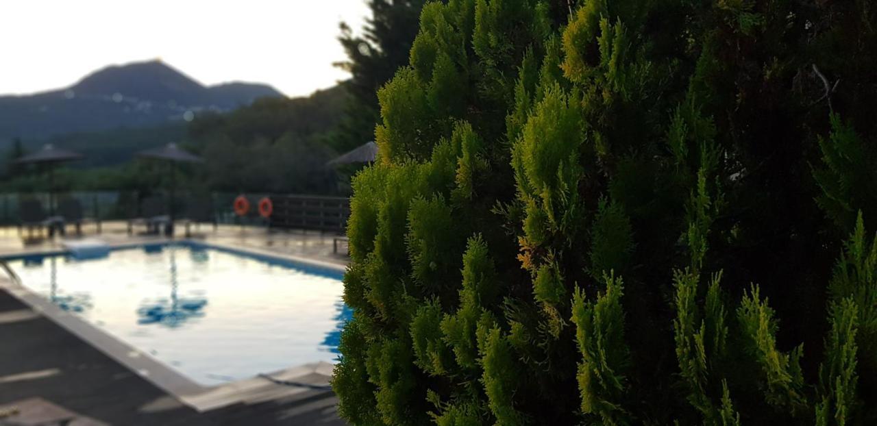 Diogenis Parga Studios Екстериор снимка